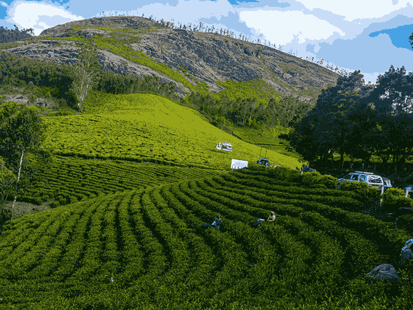 Hill Stations