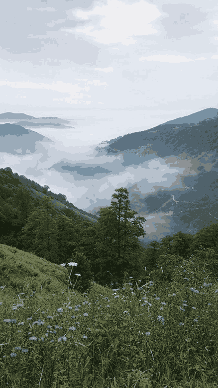 Explore Ooty’s Misty Peaks