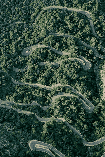 Forest Drives